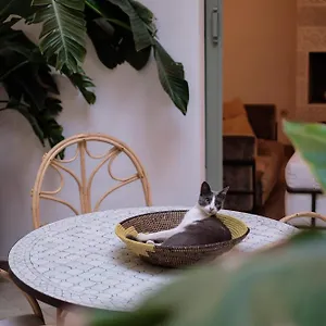 Danka Riad Marrakesh
